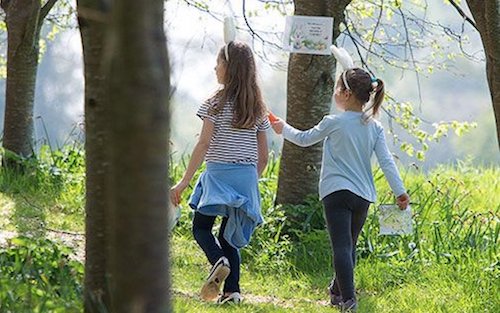 10 Fun Easter Events For Families To Enjoy In Ireland Birr Castle & Gardens